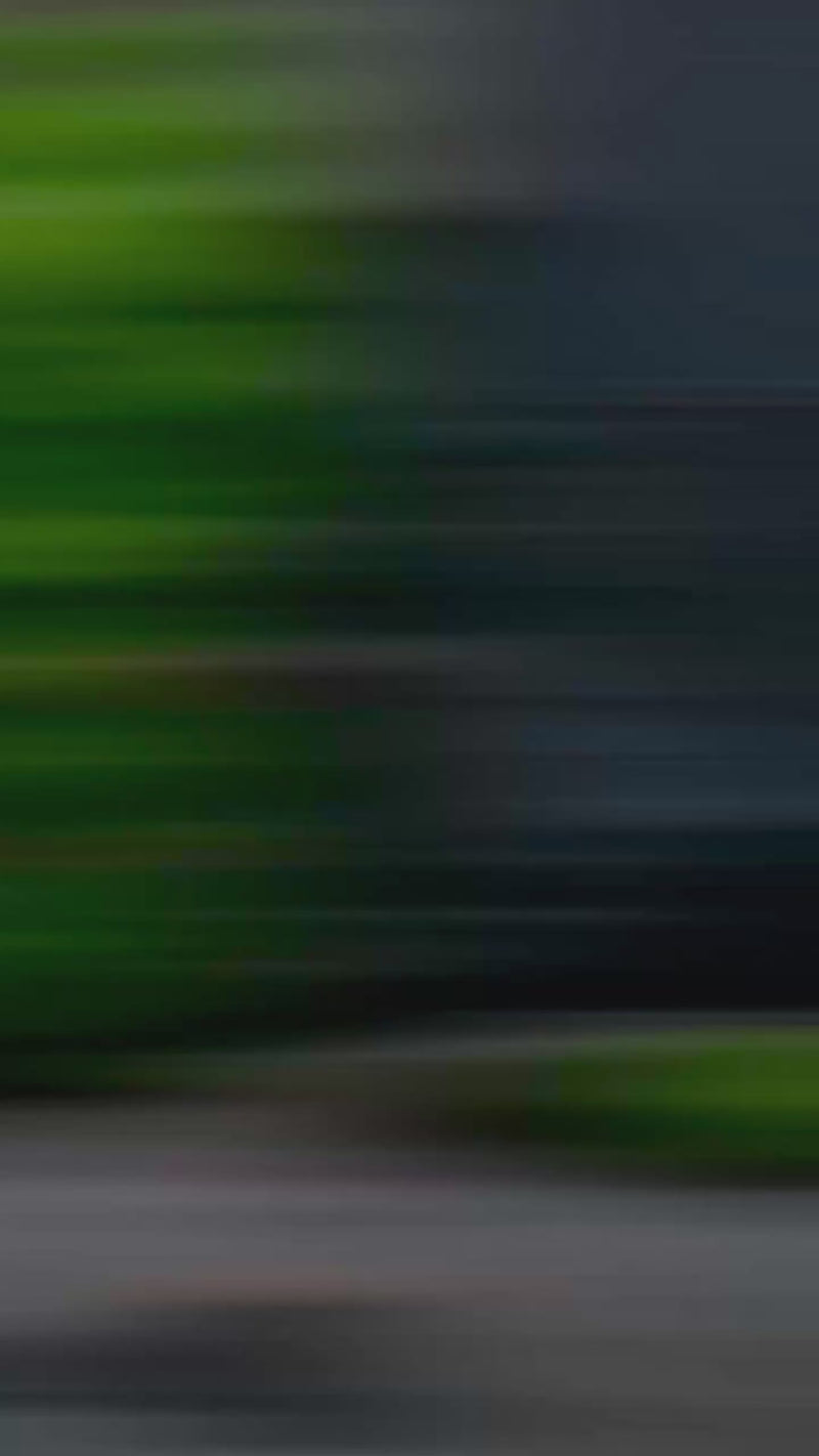 The Anastacia Tote – Silver