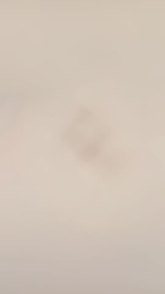 Laurice Noire LN Logo Earrings – Silver